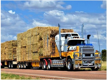 HAFT DIAMENTOWY Diamond Painting Mozaika Diamentowa Ciężarówka Ciągnik TIR Truck