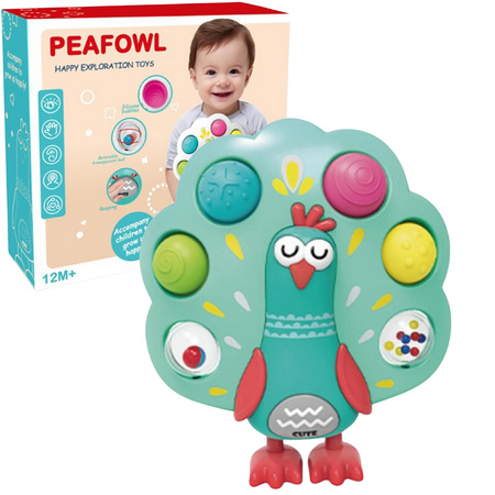 Paw Zabawka Sensoryczna Dla Malucha Motoryka Nauka Przez Zabawę Uspokaja