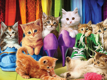 HAFT DIAMENTOWY Diamond Painting Mozaika Diamentowa Zestaw Kotki Kot w butach