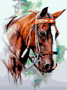 Obraz MALOWANIE PO NUMERACH Na Krośnie + RAMA