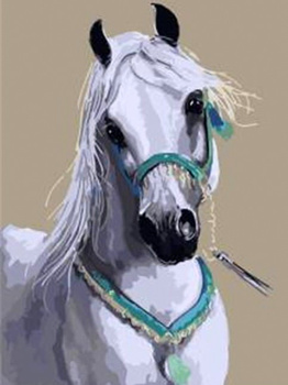 Obraz MALOWANIE PO NUMERACH Na Krośnie + RAMA