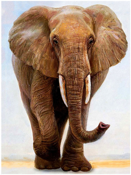 Obraz MALOWANIE PO NUMERACH RAMA W ZESTAWIE dla dzieci 50x40 Słoń Słonik Afrykański