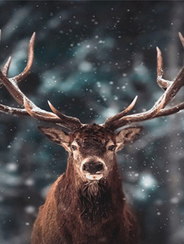HAFT DIAMENTOWY Diamond Painting Mozaika Diamentowa Dla Dzieci Zestaw Jeleń