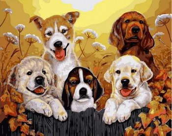 HAFT DIAMENTOWY Diamond Painting Mozaika Diamentowa Zestaw Pieski