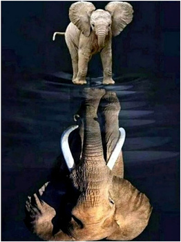 Obraz MALOWANIE PO NUMERACH Dla DZIECI Słonie 30x40 ZESTAW Z RAMĄ