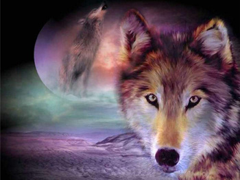 HAFT DIAMENTOWY Diamond Painting Mozaika Diamentowa Zestaw Pies Wilk