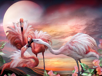 Malowanie Po Numerach FLAMINGI Z RAMĄ 40x50 OBRAZ