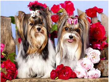 HAFT DIAMENTOWY Diamond Painting Mozaika Diamentowa Dla dzieci Zestaw Pieski