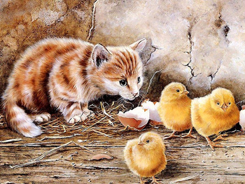 Obraz MALOWANIE PO NUMERACH RAMA W ZESTAWIE 50x40 Kot Kotek