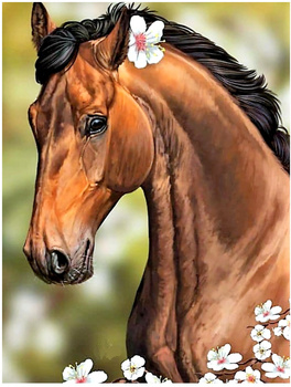 HAFT DIAMENTOWY Diamond Painting Mozaika Diamentowa Dla dzieci Zestaw Konik Koń