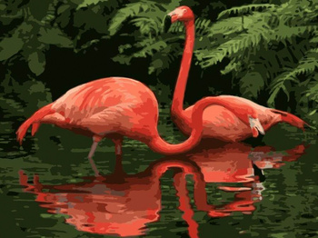 Obraz MALOWANIE PO NUMERACH RAMA W ZESTAWIE 50x40 Flamingi