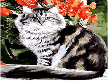 Obraz MALOWANIE PO NUMERACH RAMA W ZESTAWIE 50x40 Kot Koty Kotki