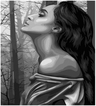 Obraz MALOWANIE PO NUMERACH Pampicio RAMA 50x40 Kobieta Twarz Kobiety