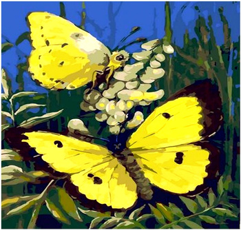 Obraz MALOWANIE PO NUMERACH RAMA W ZESTAWIE dla dzieci 50x40 Motyl Motylek Żółty